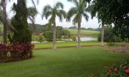 Lindo sitio de cinema para venda na região de Cajuru-SP, com 26 alqueires, varias aptidões, cana mais pasto, benfeitorias, proximo da cidade