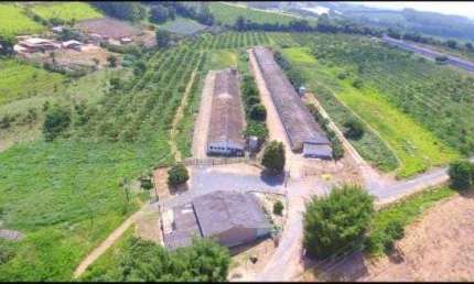 Granja para venda na região de Sorocaba-SP, com 7 alqueires, 3 pavilhoes capacidade para 60 mil frangos, infraestrutura completa
