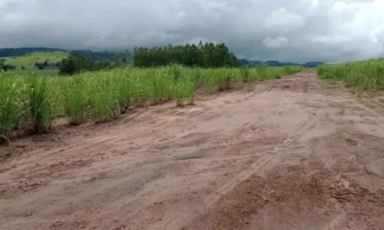 Fazenda para venda na região de São Carlos-SP, com 85,50 alqueires sendo 54,50 alqueires em cana, mais pastagem
