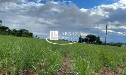 Sitio para venda na região de São Carlos-SP, com 10 alqueires sendo 8 alqueires em cana arrendada mais pasto, casa simples, terra massape