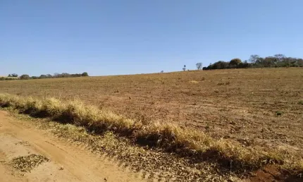 Sitio para venda em Altinopolis-SP, com 10 alqueires sendo 7,5 alqueires em cana, sem benfeitorias, terra cerrado