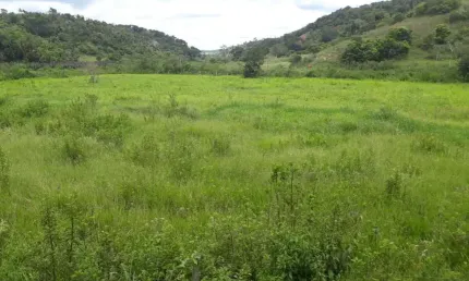 Excelente fazenda tripla aptidão para venda na região de Teofilo Otoni-MG, com 420 hectares, abundante em agua, pastagem, estrutura completa, porteira