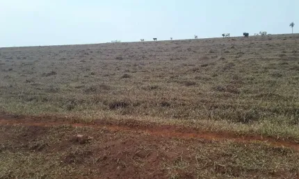Fazenda dupla aptidão para venda na região de porto ferreira-sp com 67 alqueires, atual na pecuária, benfeitorias, rica em agua, rio na divisa