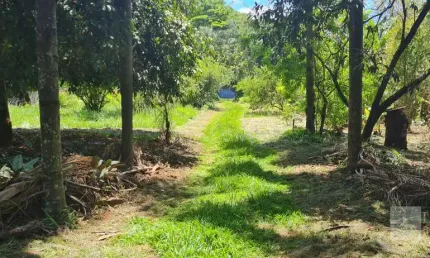 Oportunidade. Chacara para venda na Zona Leste, no Condominio Estancia Ouro Verde, com 3.453 m2, medindo 38 x 89m, muitas arvores frutiferas