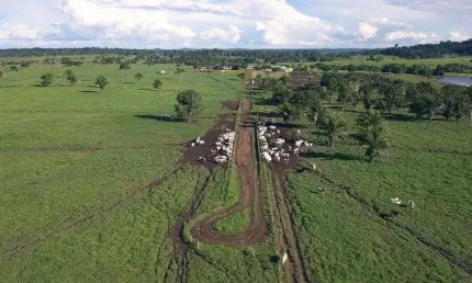 Ótima fazenda dupla aptidão para venda na região de Novo Horizonte do Norte-MT, com 1.900 hectares, infraestrutura completa, rica em agua