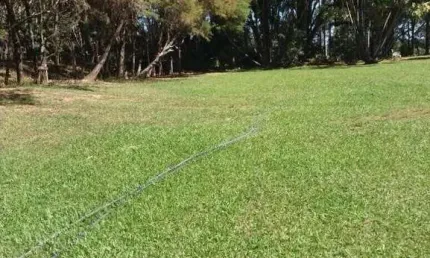 Sitio para venda na região de Campo Alegre de Goias-GO, com 4,5 alqueirao GO, ótima casa sede, poço artesiano alta vazão, rica em agua