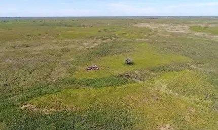 Fazenda na pecuaria para venda no Pantanal na região de Caceres-MT com 87.000 hectares, rica em agua e muitas benfeitorias
