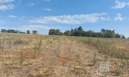 Sitio para venda em Santo Antonio da Alegria-SP, com 9,97 alqueires, planta 8 alqueires, casa sede, de funcionários, barracão e minas de agua