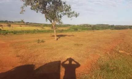 Sitio dupla aptidão a venda na região de jales / aspasia-sp, com 35 alqueires planta em 24,5 alqueires, proximo do asfalto