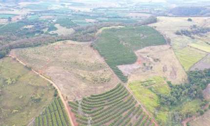 Sitio para venda na região de Monte Alto-SP, com 20 alqueires, 4.000 pes de manga, casa boa, açude, terra de cultura, poço