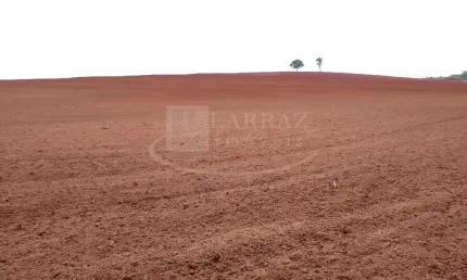 Fazenda para venda em Santa Cruz da Esperança-SP, próxima a Serra Azul-SP, com 51 alqueires sendo 45 alq em cana, 100% mecanizável