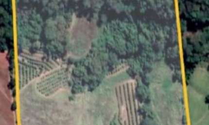 Sitio para venda em Fernando Prestes-SP, com 8 alqueires planta 6,5 alqueires, atualmente vários pés de frutas, sem benfeitorias