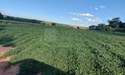 Sitio para venda em Dobrada-SP, com 10,5 alqueires, dentro da cidade, ideal para urbanização, muito bem estruturado com varias benfeitorias, mina