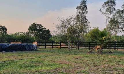 Fazenda para gado a venda em Tocantins no município de Gurupi-TO, com 77,6 alqueirao em pasto, casa, beira da rodovia, muitas benfeitorias, rio na pro
