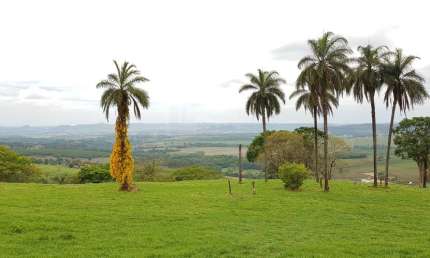 Excelente sitio para venda em Franca no Jardim Eden, com 1,86 alqueires, apenas 1,6 km do asfalto, linda casa sede, plano, ideal para empreendimentos