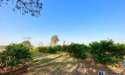 Excelente sitio múltipla aptidão para venda na regiao de jaboticabal-sp, com 8,20 alqueires sendo 6 alqueires para lavoura, bom de agua, corrego na pr