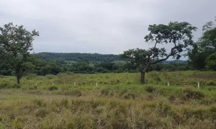 Sitio para venda em Ituverava-SP, com 2,34 alqueires na beira da rodovia, area ideal para grandes empresas, transportadoras ou usina solar