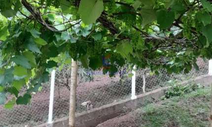 Chácara / sítio com 3 quartos à venda no Centro, Nazaré Paulista 