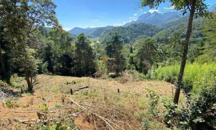 Terreno para Venda em Teresópolis, Vargem Grande, 1 dormitório, 1 banheiro, 5 vagas