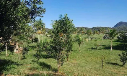 Terreno à venda na Estrada Martha Alcântara Fares, 1, Cotia, Guapimirim