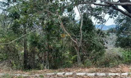 Terreno em condomínio para venda em teresópolis, cascata do imbuí