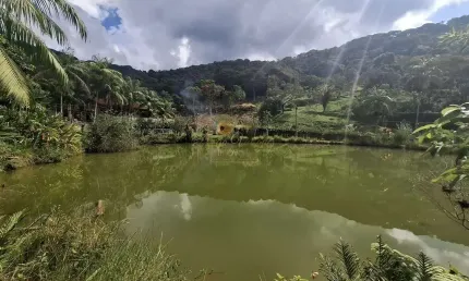 Casa para Venda em Teresópolis, Canoas, 3 dormitórios, 1 suíte, 2 banheiros, 3 vagas