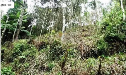 Terreno à venda na Estrada México, 100, Albuquerque, Teresópolis
