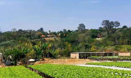 Terreno à venda na R. Dionísio Lopes Padilha, Bacaetava, Iperó