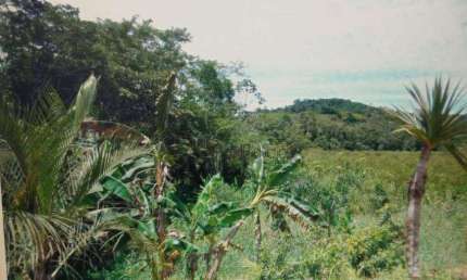 Terreno à venda na Zona Rural, Juquiá 