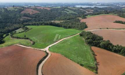 Compre Chácara em Área Rural De Araucária.  Imóvel Rural em Araucária/PR.