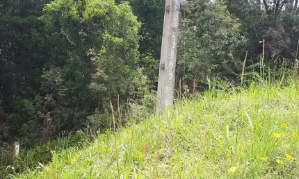 Área Industrial com 10.854,33m² , à venda, no bairro Contenda em São José dos Pinhais