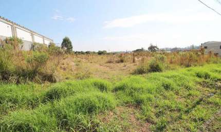 Terreno com 6.708m² , à venda, no bairro Braga em São José dos Pinhais