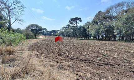 Terreno com 69.216,89m² , à venda, no bairro Campo Largo da Roseira em São José dos Pinhais