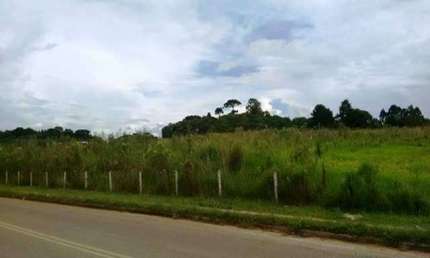 Terreno com 31.915m² , à venda, no bairro Afonso Pena em São José dos Pinhais