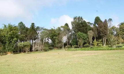 Terreno com 18.390,17m² , à venda, no bairro Rio Pequeno em São José dos Pinhais
