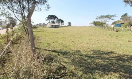 Terreno com 41.827,7m² , à venda, no bairro Colônia Murici em São José dos Pinhais
