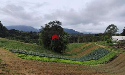 Chácara / sítio com 4 quartos à venda na Pov Pinhal Dos Borges, Centro, Tijucas do Sul