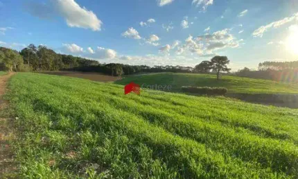 Chácara com 114.345m² , à venda, no bairro colônia murici em são josé dos pinhais