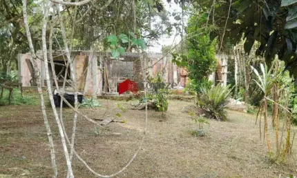 Chácara com 1.000m² , à venda, no bairro Borda do Campo em São José dos Pinhais