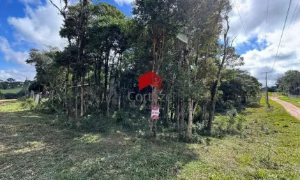 Terreno com 1.144m² , à venda, no bairro borda do campo em são josé dos pinhais