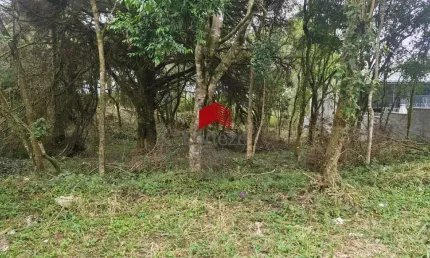 Terreno com 480m² , à venda, no bairro Guatupê em São José dos Pinhais