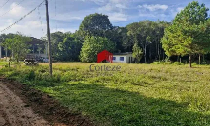 Área Rural com 51.394,5m² , à venda, no bairro Cachoeira em São José dos Pinhais