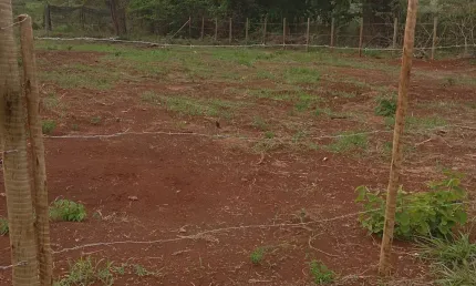 Linda chácara com visão para as montanhas em Igarapé