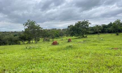 Chácara / sítio à venda na Zona Rural, Mateus Leme 