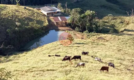 Chácara / sítio à venda no Centro, Rio Preto 