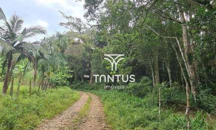 Terreno à venda, 21196 m² por R$ 170.000,00 - Sambaqui - Morretes/PR