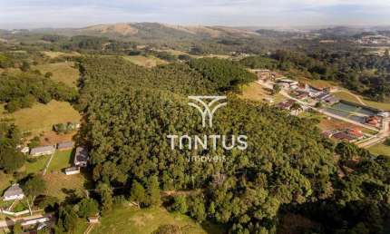 Chácara à venda, 76040 m² por R$ 1.700.000,00 - Boichininga - Almirante Tamandaré/PR
