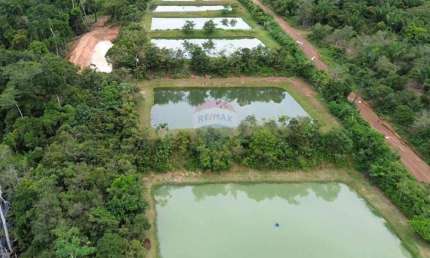 VENDO FAZENDA ARAPAIMA NO KM 25 DA ESTRADA DE NOVO AIRÃO-AM