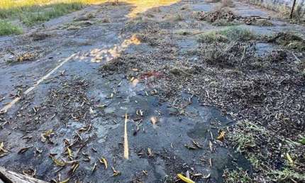 Terreno comercial para alugar no Parque 10 de Novembro, Manaus 