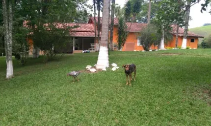 Chácara / sítio com 3 quartos à venda na Área Rural de São José dos Campos, São José dos Campos 